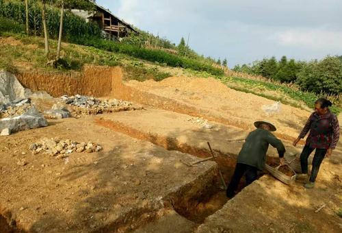 湘潭农民建房子，发现地里有头“猪”，专家检验后：快挖挖旁边