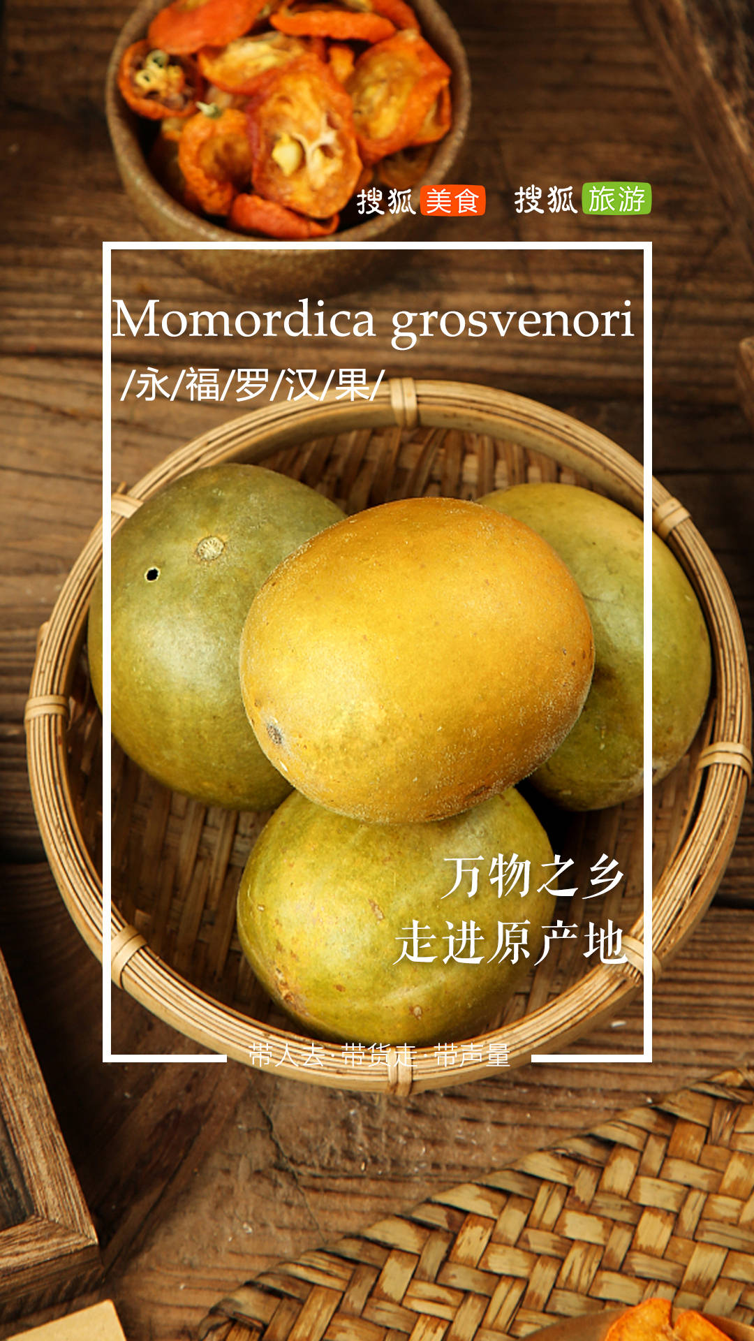 永福罗汉果：传统“神果”到现代甜味剂的华丽转身 | 万物之乡