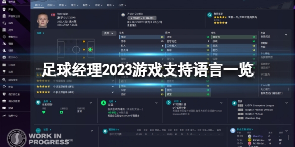《足球经理2023》有中文吗？游戏支持语言一览