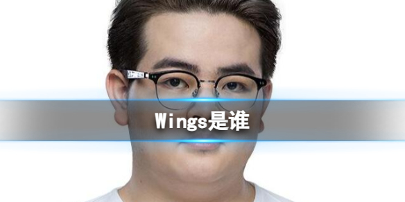 《英雄联盟》Wings选手介绍